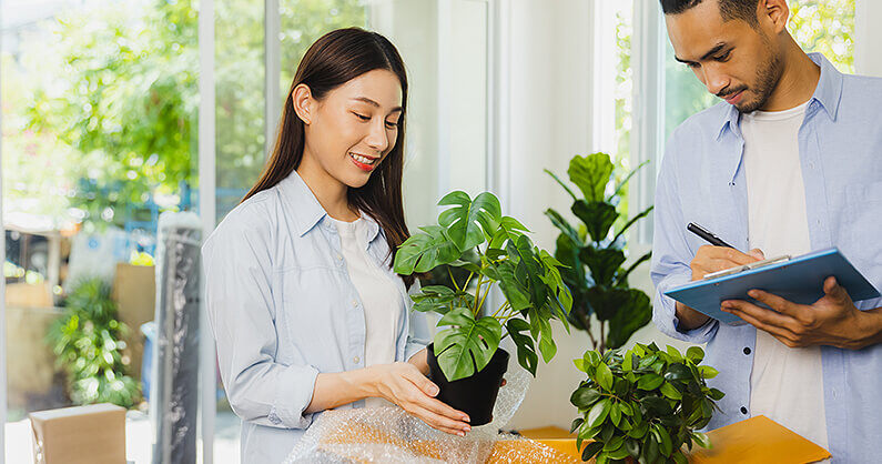 A couple preparing their houseplants for moving