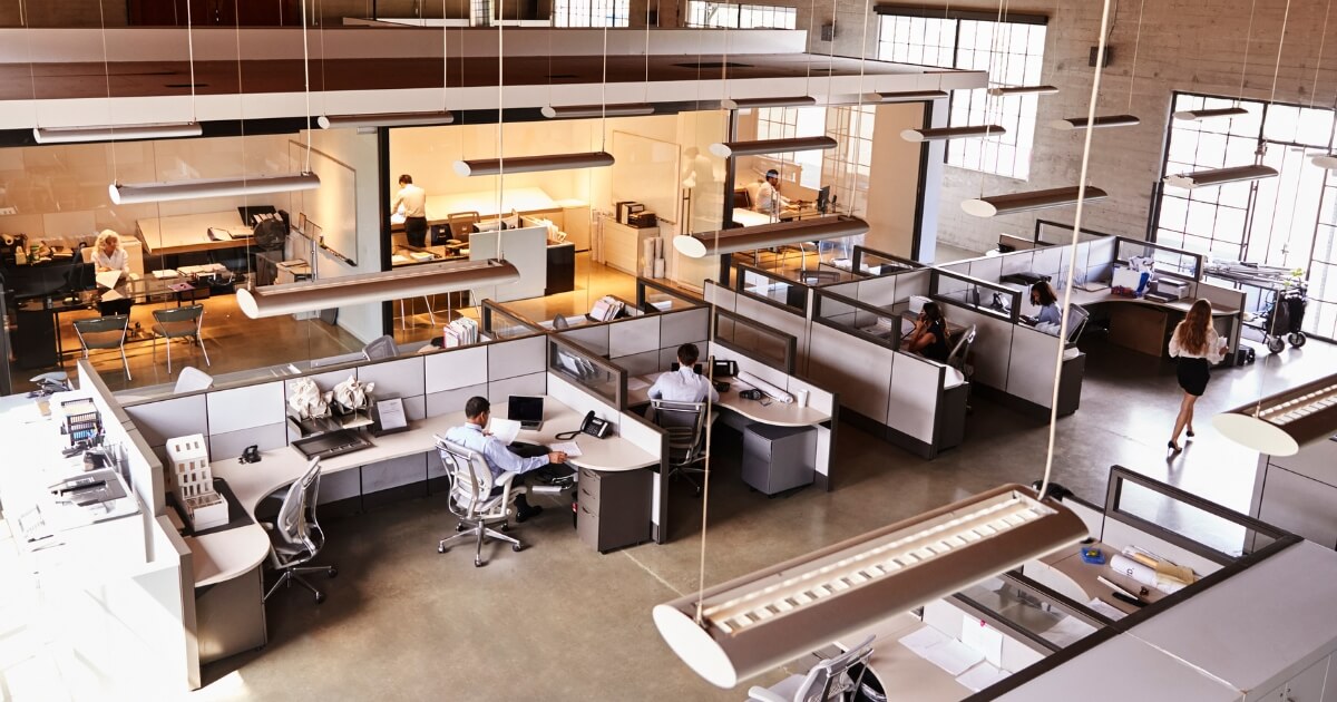 Workplace layout design: Tips for optimising your new office space