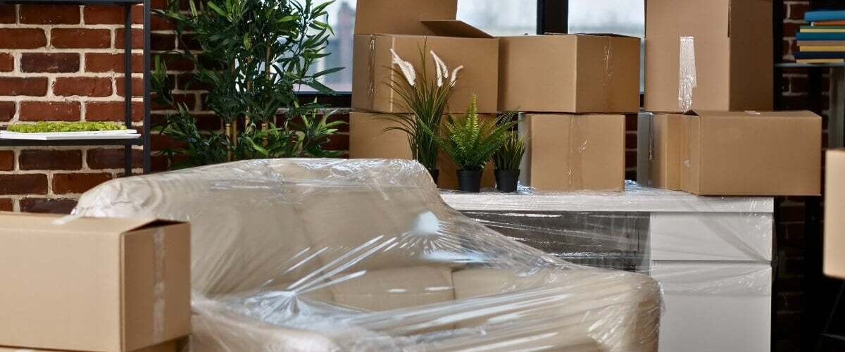 Long-term storage tips: protecting your things from dust, moisture & pests banner image